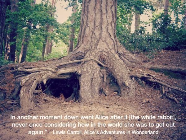 Tree with rabbit hole