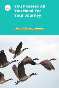 healing Journey Blog - Flock of geese